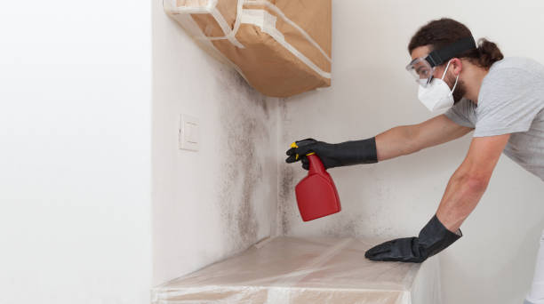 Professional Bathroom Mold Removal technician working in Hopkins, MI