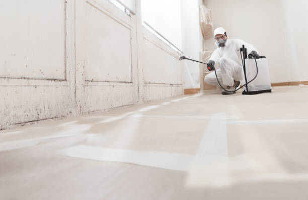24/7 Emergency Bathroom Mold Removal experts in Hopkins, MI